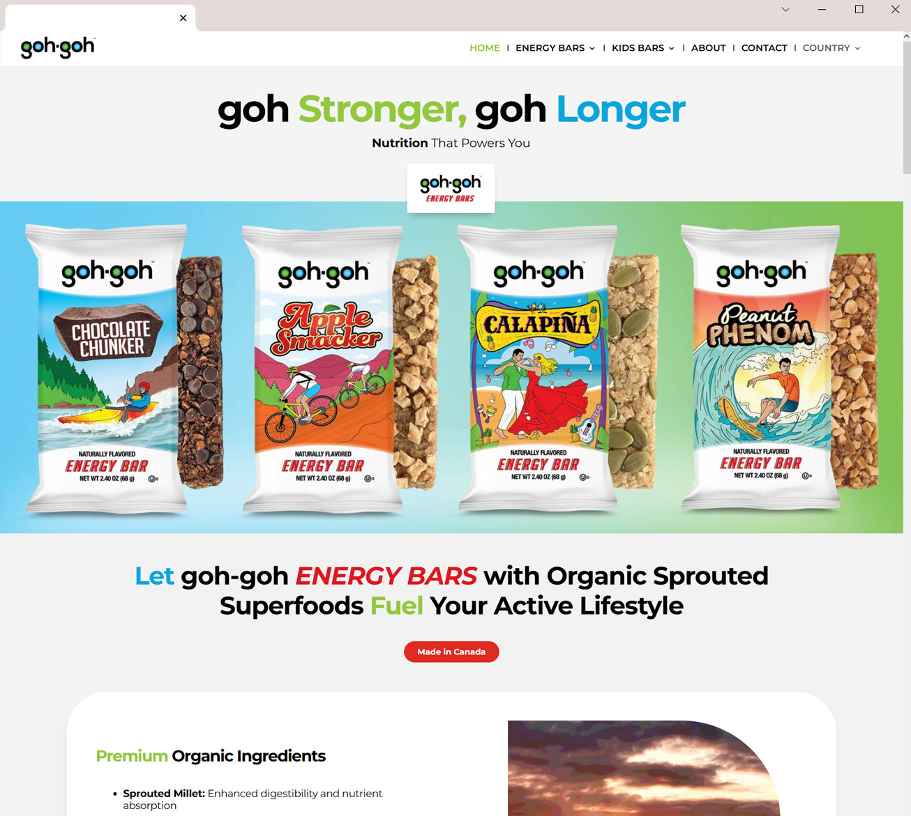 Website-Design-Development-Setup-Programming